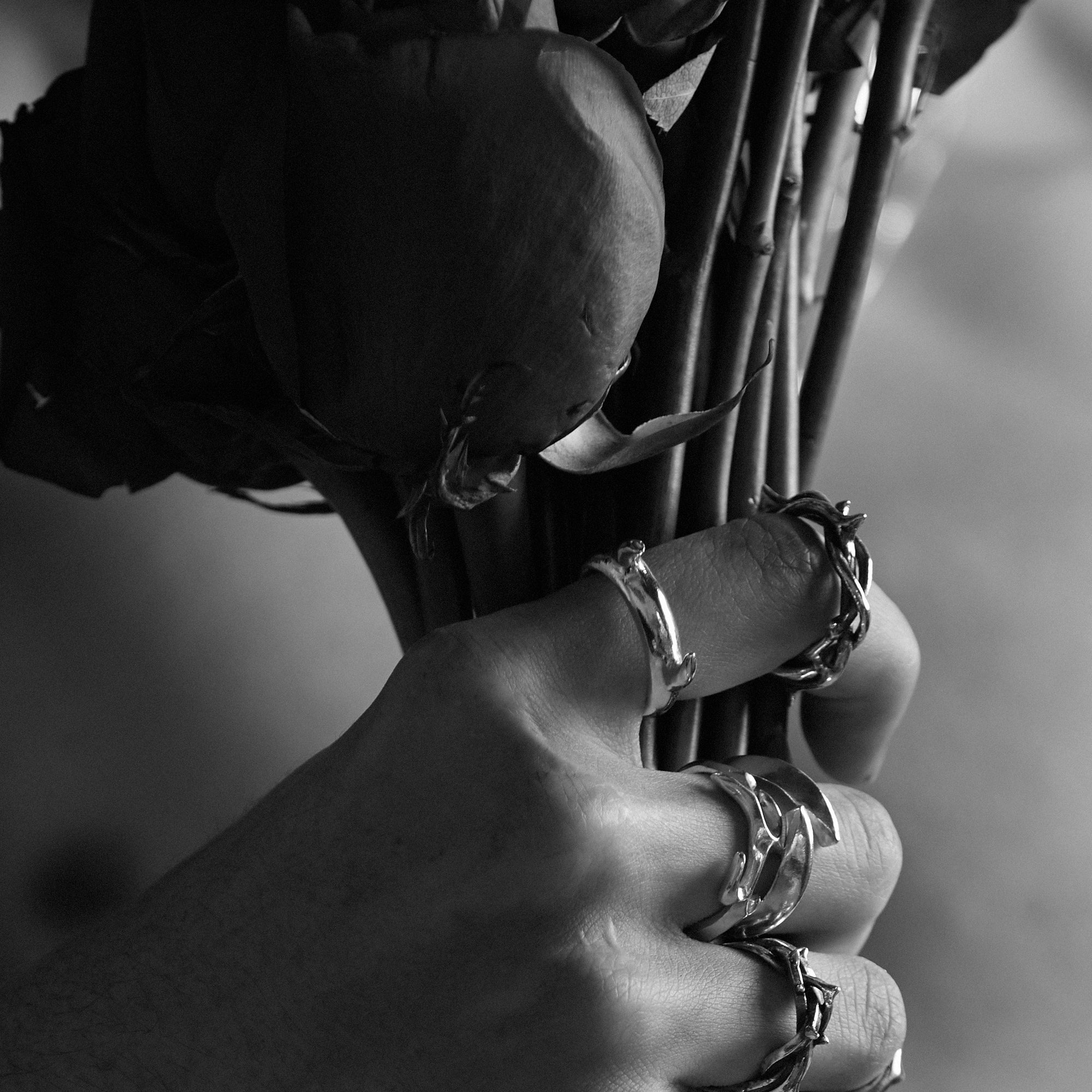 Thorn